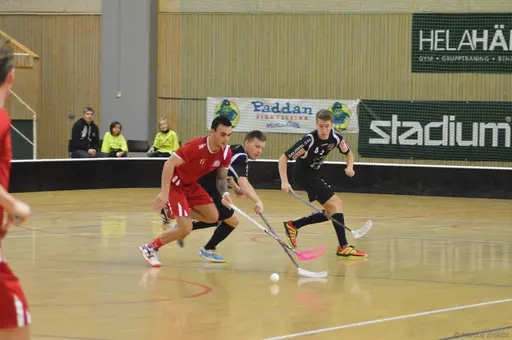 Foto: Marcus Erdeös