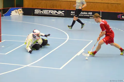 Foton: Marcus Erdeös