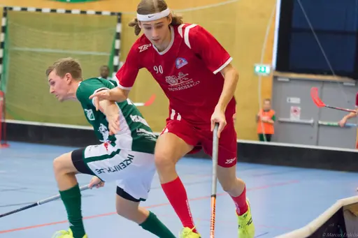 Foto: Marcus Erdeös