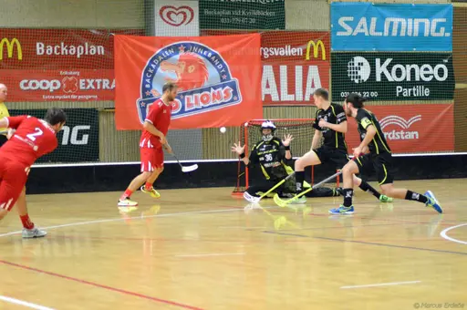 Foto: Marcus Erdeös