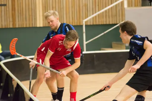 Foto: Marcus Erdeös