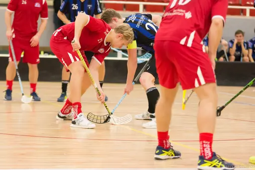 Foto: Marcus Erdeös