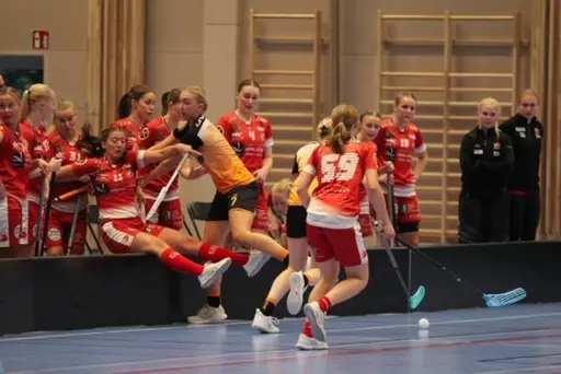 Foto: Nina Åberg