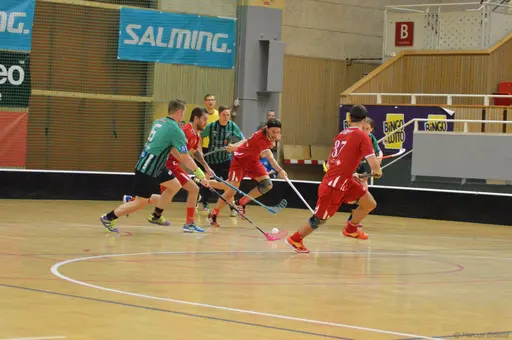 Foto: Marcus Erdeös