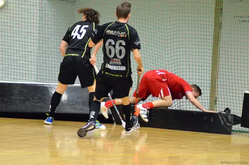 Foto: Marcus Erdeös