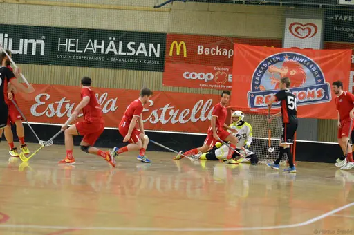 Foto: Marcus Erdeös