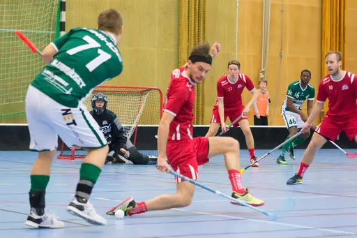 Foto: Marcus Erdeös
