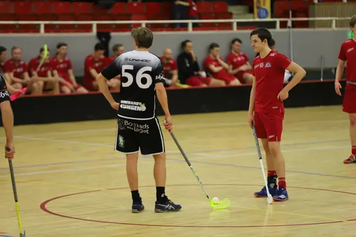 Foto: Claes Lindberg och Stefan Jungegård