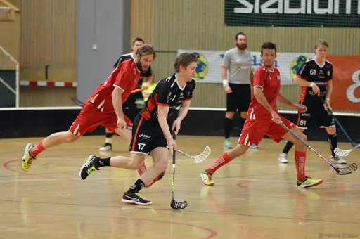 Foto: Marcus Erdeös