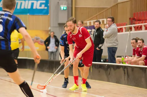 Foto: Marcus Erdeös