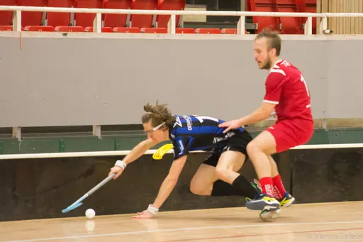 Foto: Marcus Erdeös