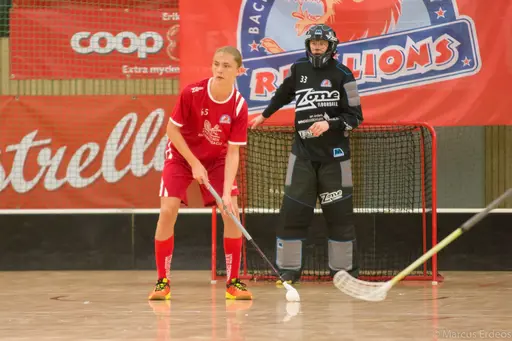 Foto: Marcus Erdeös