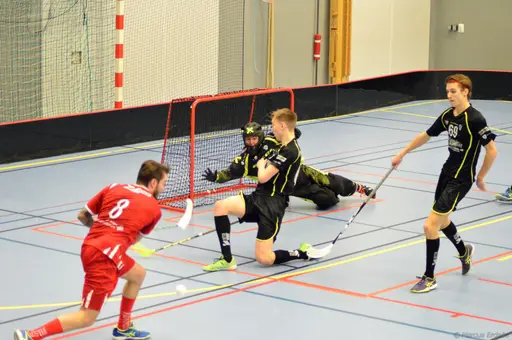 Foto: Marcus Erdeös