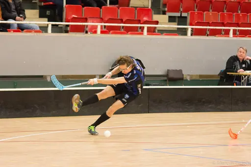 Foto: Marcus Erdeös