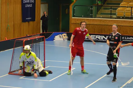 Foton: Marcus Erdeös