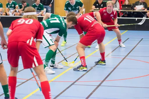 Foto: Marcus Erdeös
