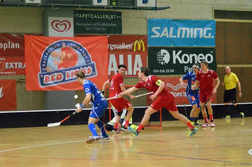 Foto: Marcus Erdeös