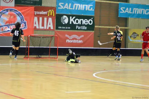 Foto: Marcus Erdeös