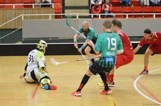 Foto: Marcus Erdeös