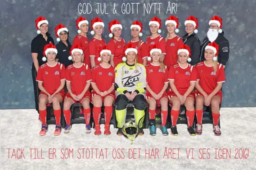 Damerna önskar alla som följ oss under 2015 en God Jul & Gott Nytt År!