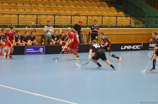 Foton: Marcus Erdeös