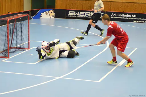 Foton: Marcus Erdeös