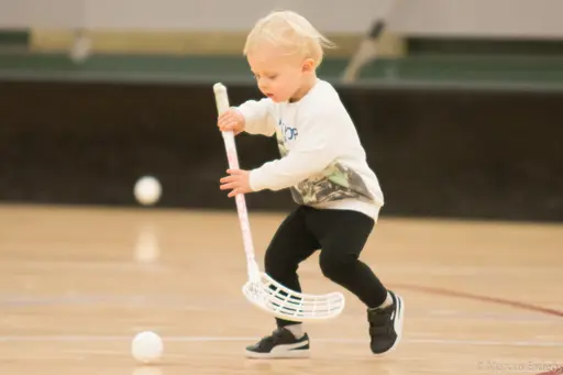 Foto: Marcus Erdeös