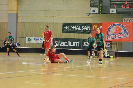 Foto: Marcus Erdeös