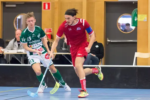 Foto: Marcus Erdeös