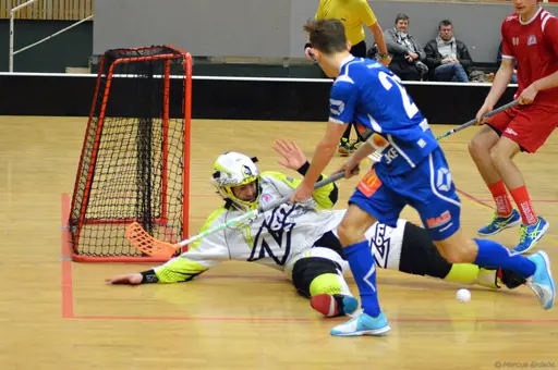 Foto: Marcus Erdeös