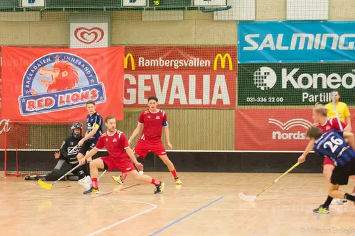 Foto: Marcus Erdeös