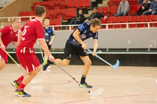 Foto: Marcus Erdeös