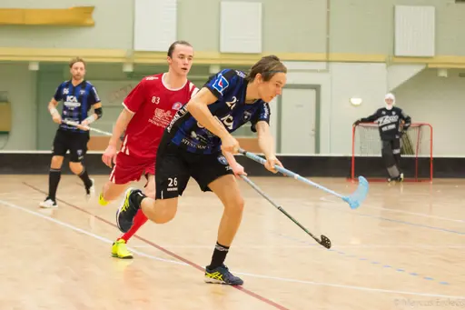 Foto: Marcus Erdeös