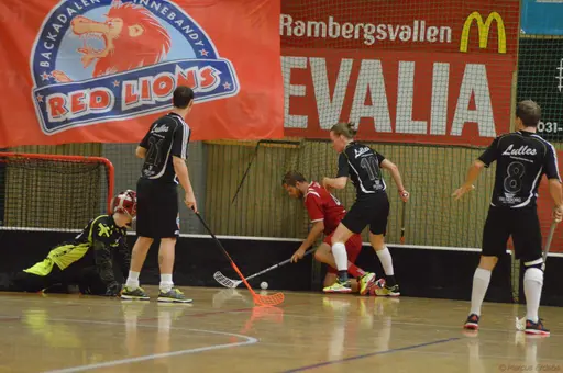 Foto: Marcus Erdeös