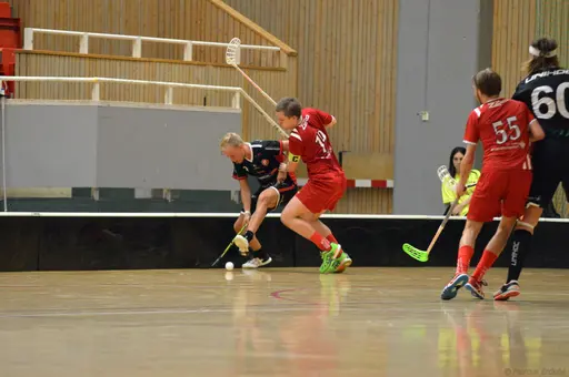 Foto: Marcus Erdeös
