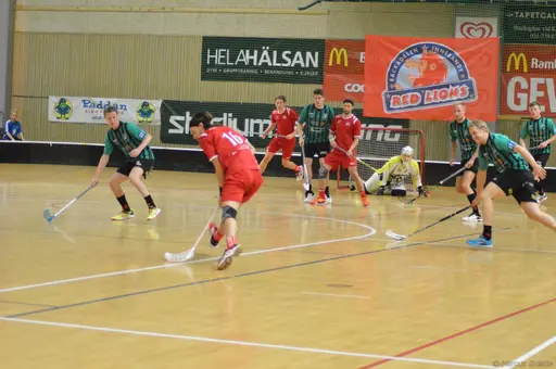 Foto: Marcus Erdeös