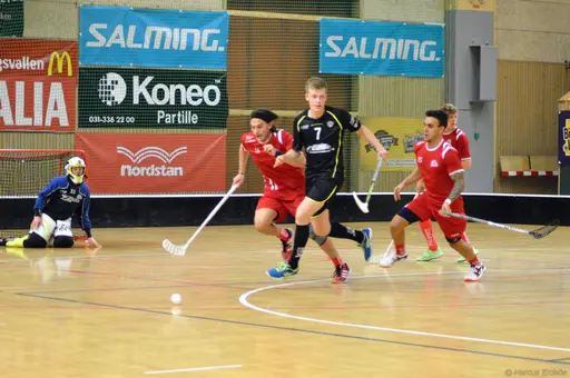 Foto: Marcus Erdeös