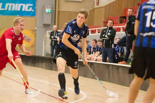 Foto: Marcus Erdeös