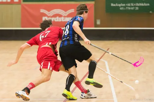 Foto: Marcus Erdeös