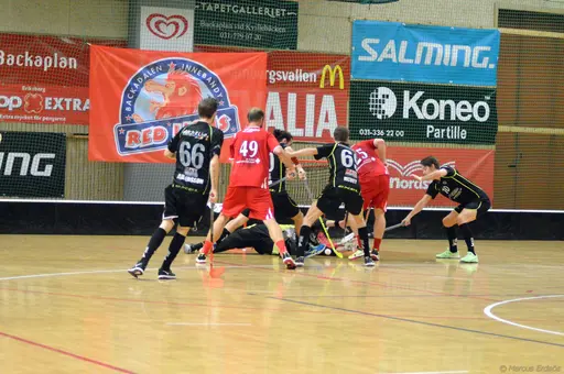 Foto: Marcus Erdeös