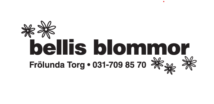 Bellis blommor