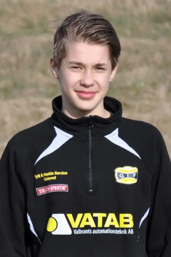 Matchens stjärna, David Johansson