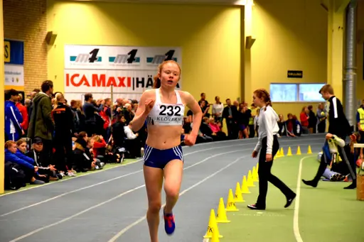 IUSM-bilder Bengt Larsten, Nike Isaksson, Janne Åkerblom