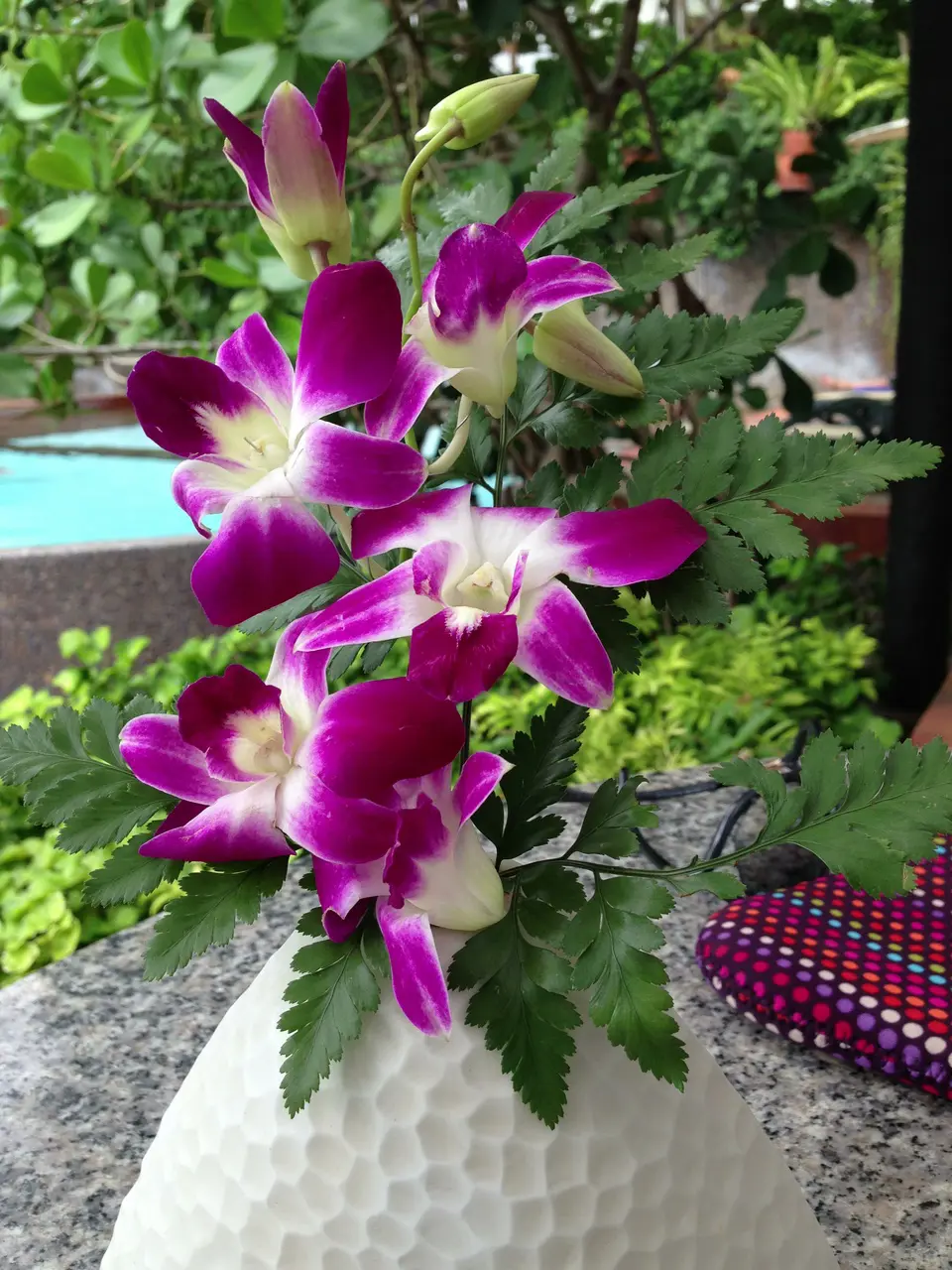 Ett stort grattis till alla personliga rekord - en virtuell blomma till alla er från styrelsen!