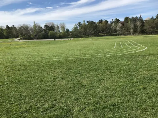 Gräsbanor på Grönsta gärde!