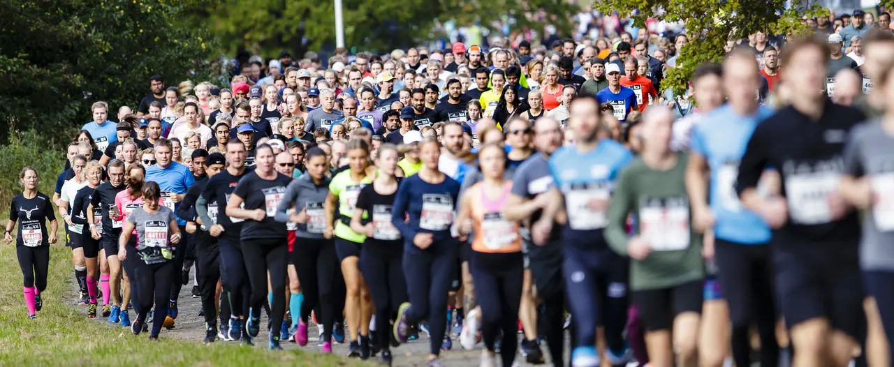 Över 30 000 löpare förväntas till världens största terränglopp sista helgen i september. Foto: Lidingöloppet
