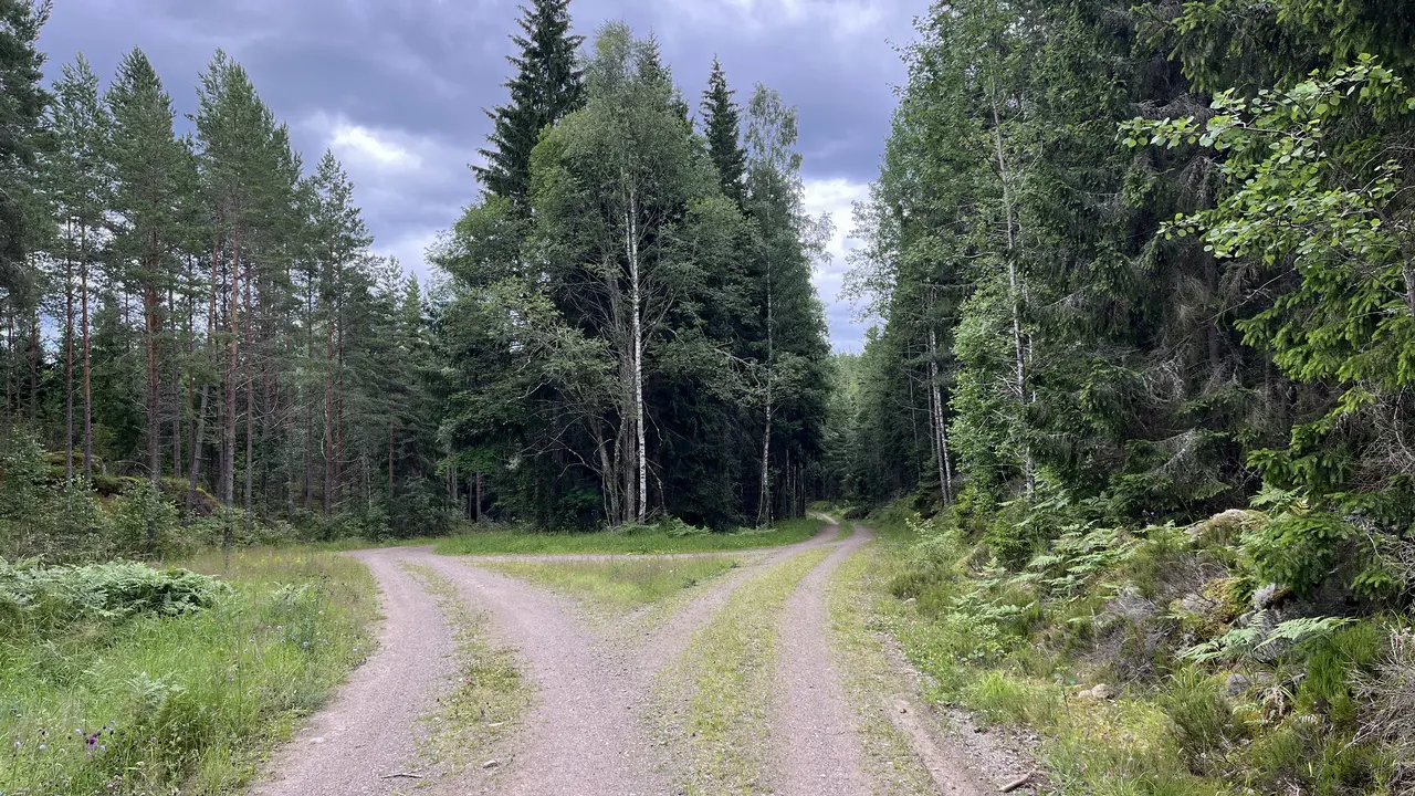 Historien om ett träningspass i mitten av 1970-talet som gjorde mig till medeldistansare. Foto: Janne Åkerblom