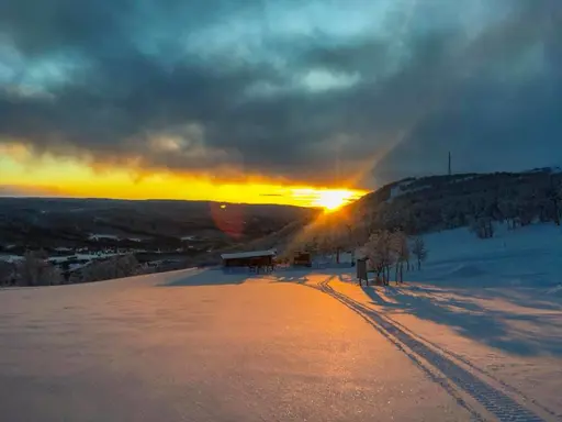 Årets bästa helg. Hittills! Bilder: Rebecka Hagardt, Bengt Larsten, Strix Åkerblom, Janne Åkerblom