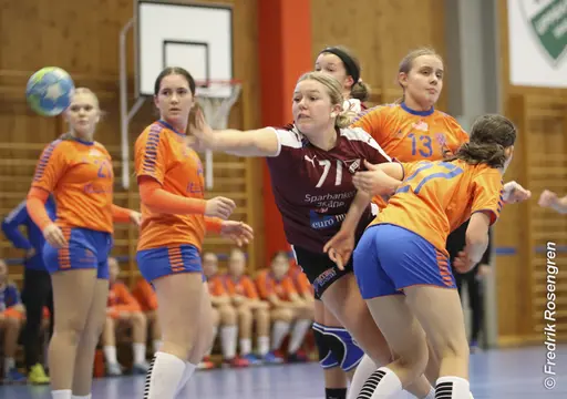 foto: Figge