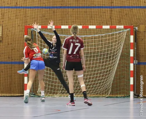 foto: Figge